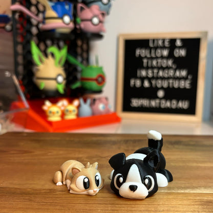 Adorable Mini Animals